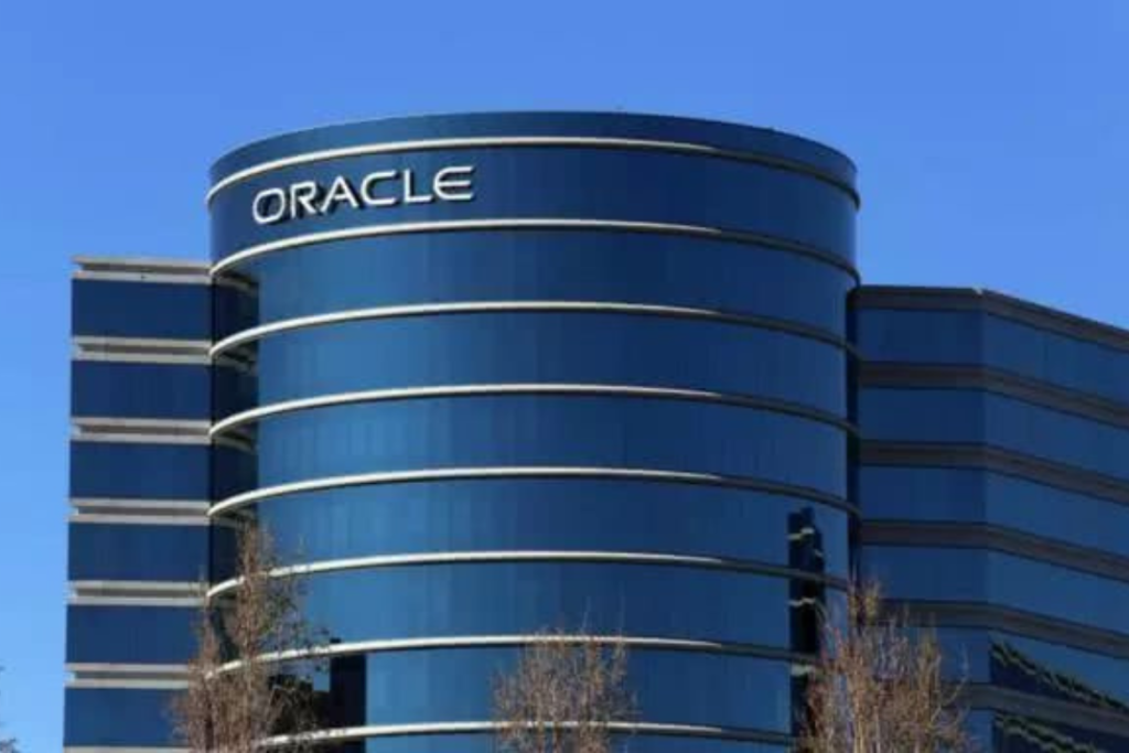 甲骨文公司(Oracle)主要提供企業級的資料庫系統、雲端平台(Oracle Cloud Infrastructure, OCI)與企業應用軟體,例如 ERP、CRM 和 HCM 系統。